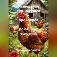 Владимир Ломаев. Разведение кур несушек и бройлеров в домашних условиях