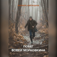 . Побег Вовки Морковкина