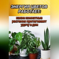 Андрей Попов. Энергия цветов работает: какие комнатные растения притягивают удачу в дом