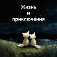 Евгений. Жизнь и приключения