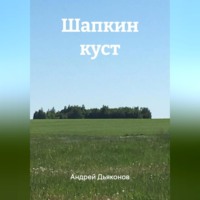 Андрей Дьяконов. Шапкин куст
