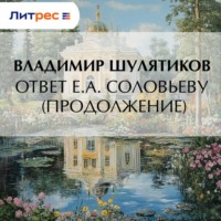 Владимир Михайлович Шулятиков. Ответ Е.А. Соловьеву (продолжение)