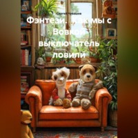 . Фэнтези. Как мы с Вовкой выключатель ловили.