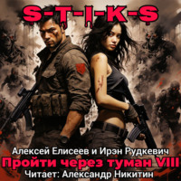 Ирэн Рудкевич. S-T-I-K-S. Пройти через туман VIII. Континент