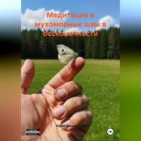 Юрий Ольшевский. Медитация и мухоморные швы в бесконечности