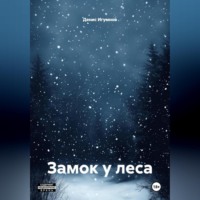 Денис Александрович Игумнов. Замок у леса