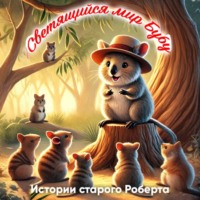 Анвар Усманов. Светящийся мир Бубу. Истории старого Роберта
