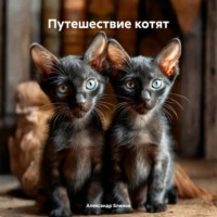 . Путешествие котят