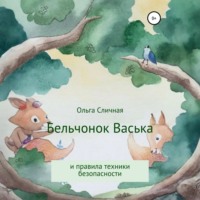 Ольга Сличная. Бельчонок Васька и правила техники безопасности
