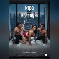 Макс Савин. Игра вслепую