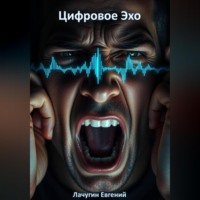 . Цифровое эхо