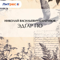 Н. В. Шелгунов. Эдгар По