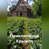 Евгений Бадыгов. Приключения Крыжля