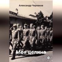 Александр Черевков. Моя целина