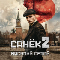 Василий Седой. Санёк 2