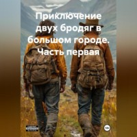 Алексей Леванов. Приключение двух бродяг в большом городе часть первая.