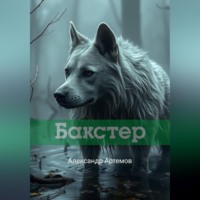 Александр Артемов. Бакстер