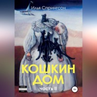 Илья Спрингсон. Кошкин Дом, часть 2