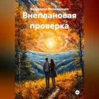 . Внеплановая проверка