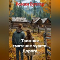 Роман Булгар. Таежное смятение чувств Дорога