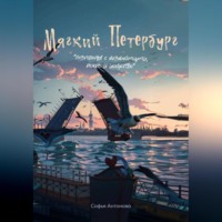 . Мягкий Петербург: разговоры с незнакомцами, дождь и искусство.