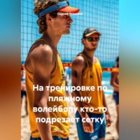 Сергей Чувашов. На тренировке по пляжному волейболу кто-то подрезает сетку.