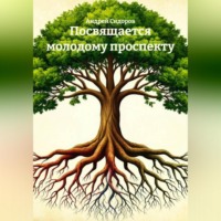 Андрей Валентинович Сидоров. Посвящается молодому проспекту
