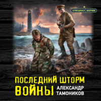 Александр Тамоников. Последний шторм войны