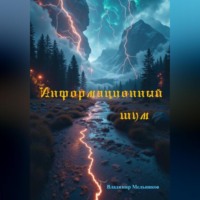 . Информационный шум