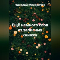 Николай Алексеевич Мисеричев. Ещё немного слов из записных книжек