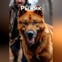 . Рыжик