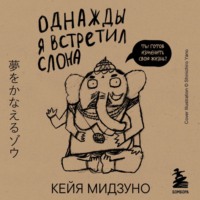Кейя Мидзуно. Однажды я встретил слона