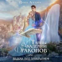 . Тайны академии драконов, или Ведьма под прикрытием