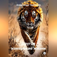 Александр Черевков. Другое измерение жизни