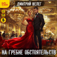 Дмитрий Шелег. На гребне обстоятельств