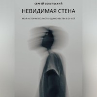 . Невидимая стена
