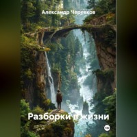 Александр Черевков. Разборки в жизни