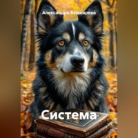 Александра Бешкарева. Система