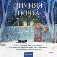 . Зимняя почта
