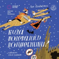 . Куда подевались волшебники? Версия с тифлокомментариями для незрячих и слабовидящих людей