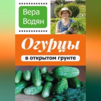 . Вера Водян. Огурцы в открытом грунте