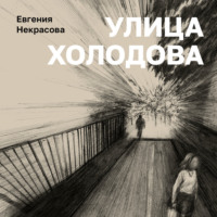 . Улица Холодова