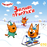 . Три кота. Зимние прогулки