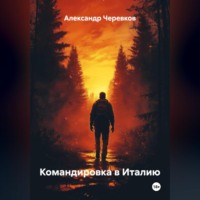 . Командировка в Италию