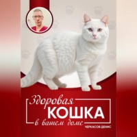 Денис Черкасов. Здоровая кошка в вашем доме