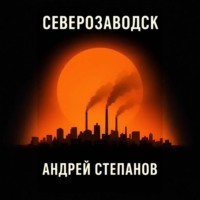 Андрей Валерьевич Степанов. Северозаводск