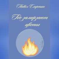Павел Слортин. Где замерзают цветы