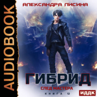 . Гибрид. Книга 12. След мастера