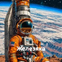 . Железяка