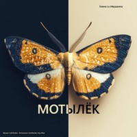 . Мотылёк
